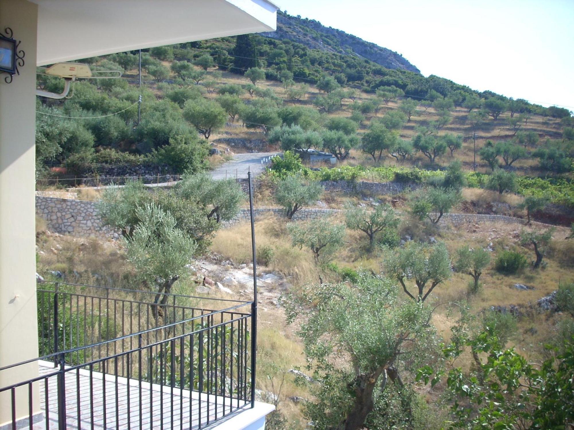 Olympia House Vathy (Ithaca) Exterior foto