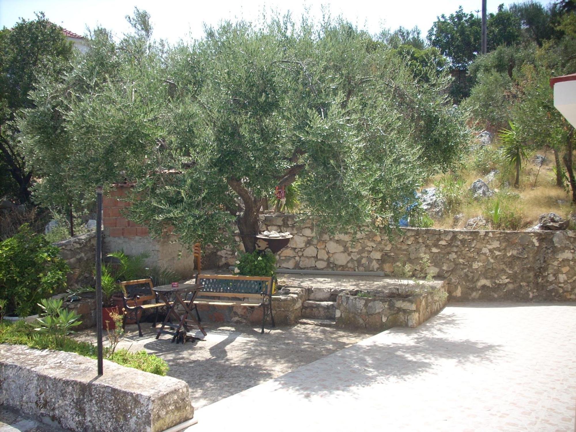 Olympia House Vathy (Ithaca) Exterior foto